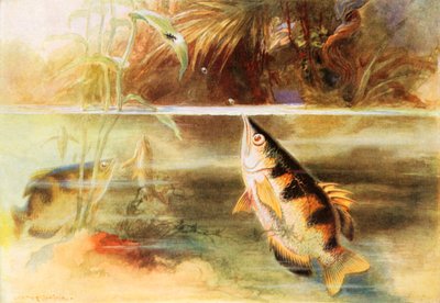  autorstwa Arthur Twidle