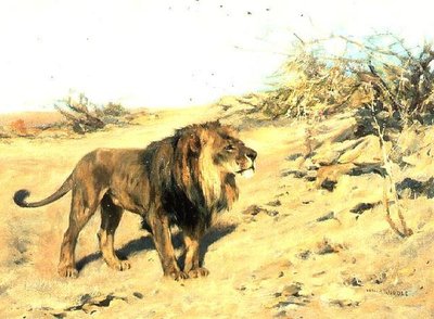 Lew pośród zarośli autorstwa Arthur Wardle