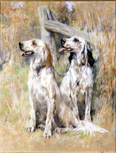 Setery angielskie przez Stile autorstwa Arthur Wardle