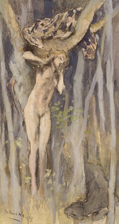 Hamadriada - Duch Drzewa, ok.1890 (pastel, ołówek i akwarela na papierze) autorstwa Arthur Wardle