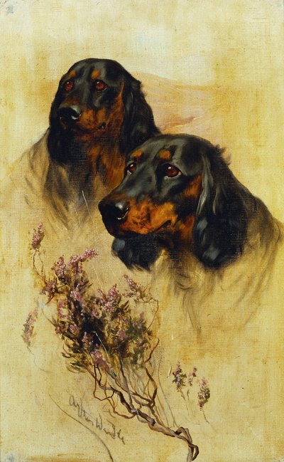 Dwa Setery Gordona (olej na płótnie) autorstwa Arthur Wardle