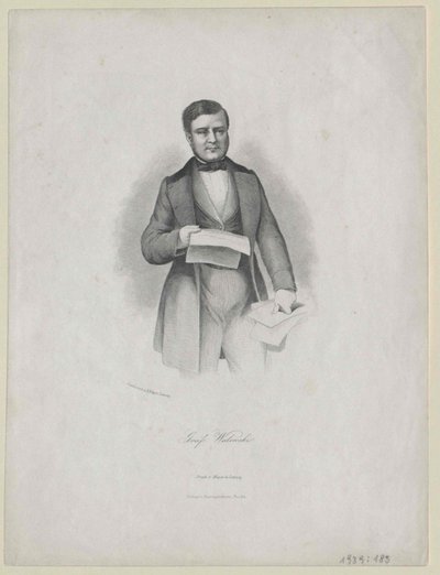 Alexandre Comte Walewski autorstwa Artist Unknown