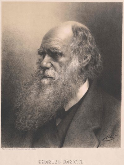 Karol Darwin autorstwa Artist Unknown