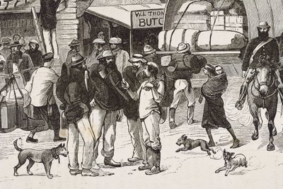 Anglia (XIX w.). Kolonizacja (1880). Życie poszukiwaczy złota w Australii. Angielska kolonia Botany Bay (założona w 1788 r.), początkowo zamieszkana głównie przez przestępców, którzy stali się poszukiwaczami i handlarzami. Rycina. Kolekcja prywatna autorstwa Artist Unknown