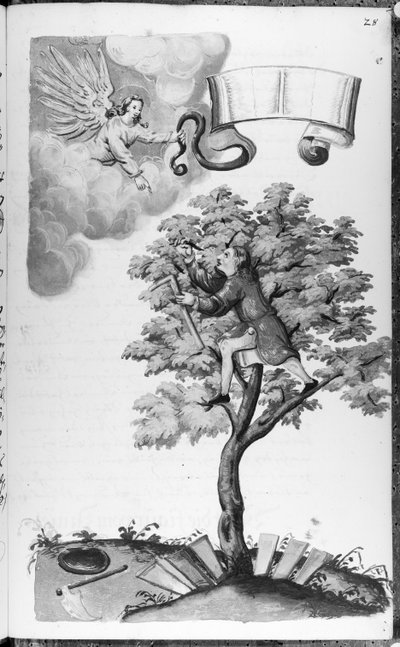 Folio 28 codex 11134 autorstwa Artist Unknown