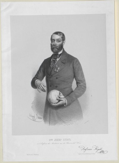 Joseph Hyrtl autorstwa Artist Unknown