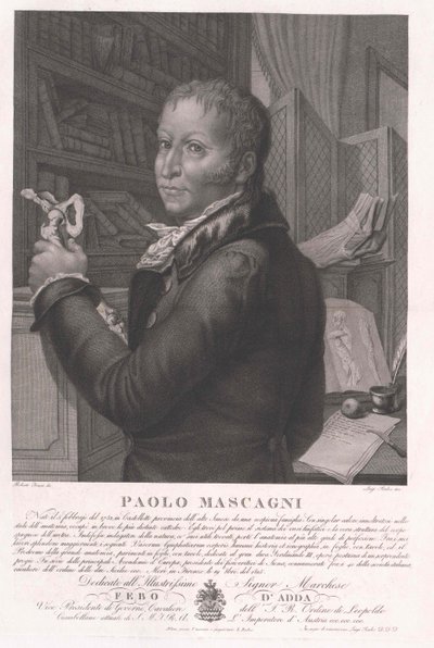 Paolo Mascagni autorstwa Artist Unknown