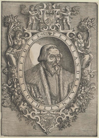 Pietro Andrea Mattioli (druk) autorstwa Artist Unknown