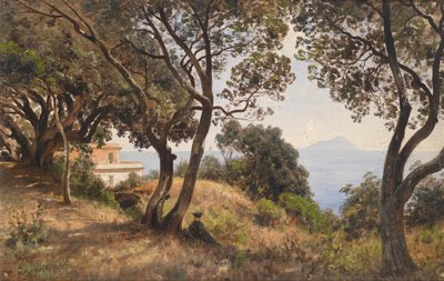 Ascan Lutteroth widok z południa 1889 autorstwa Ascan Lutteroth