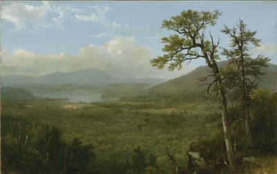 Góry Adirondack, Nowy Jork, 1870 autorstwa Asher Brown Durand