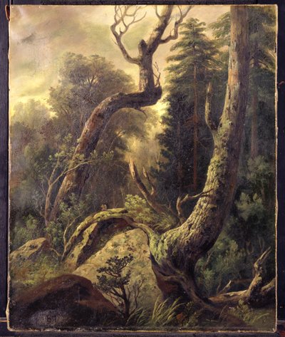 Krajobraz leśny autorstwa Asher Brown Durand