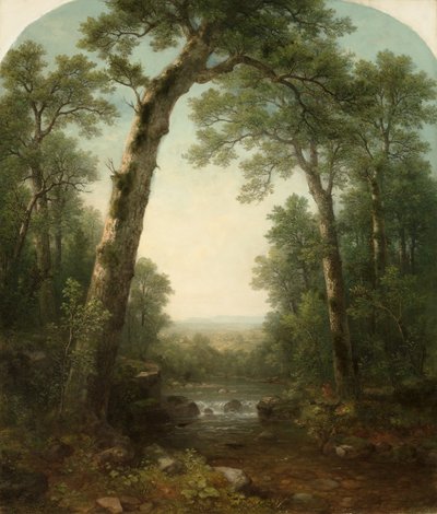 Leśny strumień z widokiem autorstwa Asher Brown Durand
