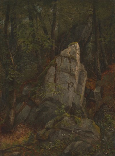 Studium skał w wąwozie Pearsona, połowa lat pięćdziesiątych XIX wieku. autorstwa Asher Brown Durand