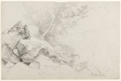 Study of Rocks with Trees, Haga, Lake George, Nowy Jork, 1862 (grafit na szarym papierze) autorstwa Asher Brown Durand