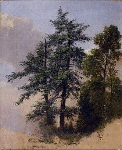 Badanie drzewa, Newburgh, Nowy Jork, 1849 autorstwa Asher Brown Durand