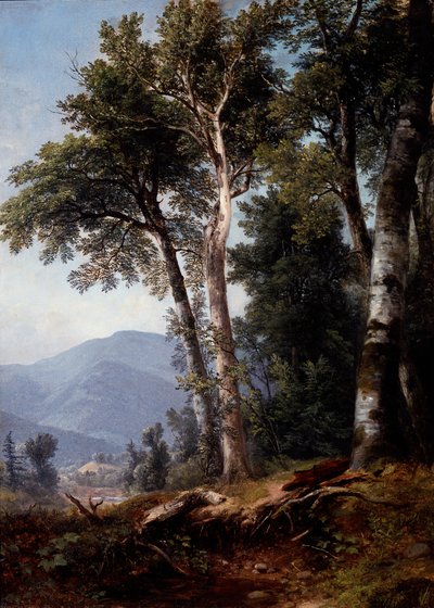 Krajobraz leśny, ok. 1850 (olej na płótnie) autorstwa Asher Brown Durand