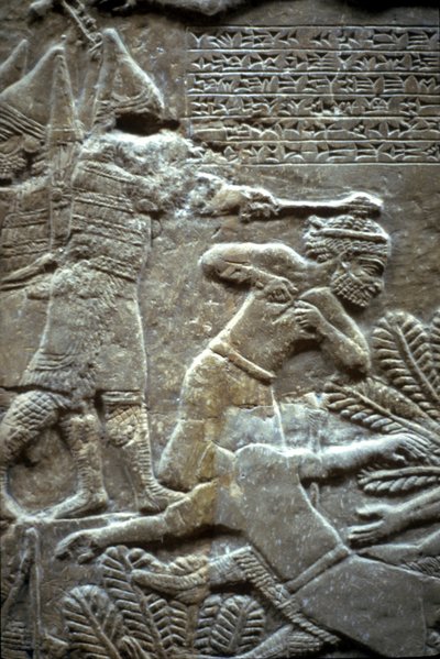 Asurbanipal w bitwie pod Til-Tuba, 650-620 pne autorstwa Assyrian