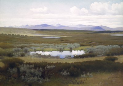 Krajobraz, Rondane autorstwa Asta Nørregaard