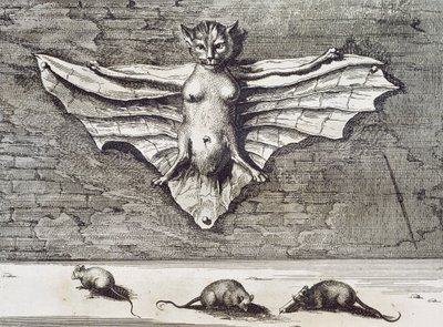 Latający Kot, 1667 autorstwa Athanasius Kircher