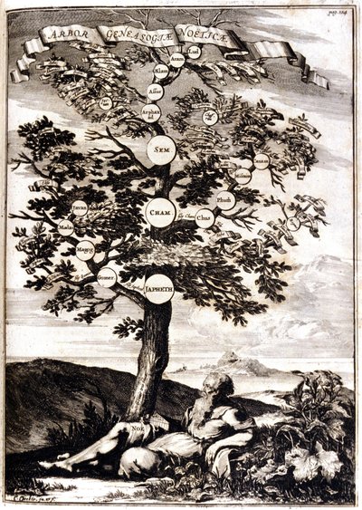Drzewo genealogiczne Noe d