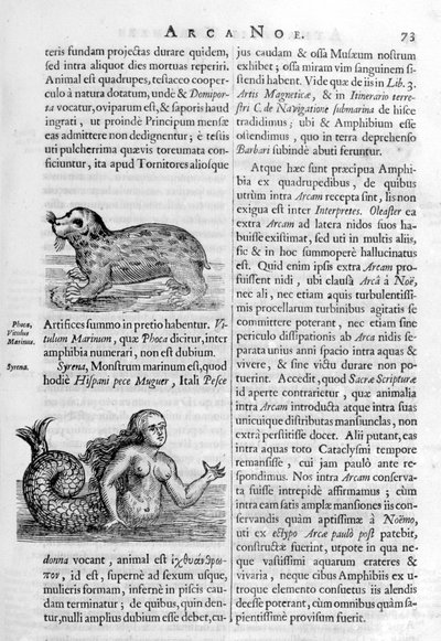 Mityczne stworzenia, 1675. autorstwa Athanasius Kircher