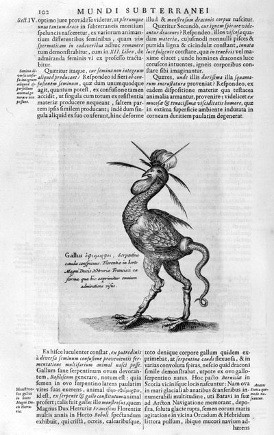 Mityczne stworzenia, 1678. autorstwa Athanasius Kircher