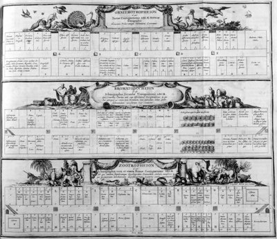 Tabela gatunków, 1765. autorstwa Athanasius Kircher