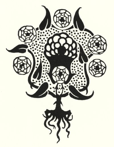 Projekt okładki „Salome” autorstwa Aubrey Beardsley