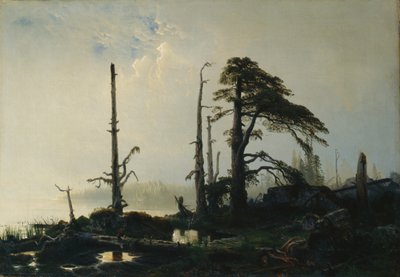 Jezioro we mgle (olej na płótnie) autorstwa August Cappelen