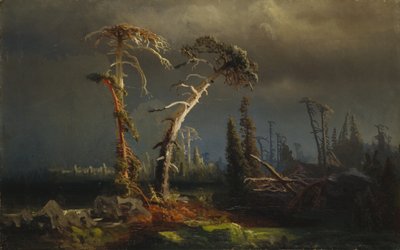 Rising storms - ginący prastary las w burzach (olej na płótnie) autorstwa August Cappelen