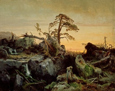Umierająca dżungla autorstwa August Cappelen