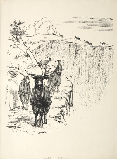 Kozy autorstwa August Gaul