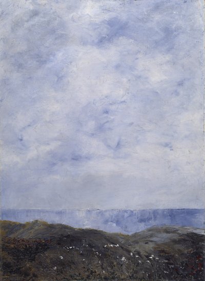 Krajobraz nadmorski, 1903 autorstwa August Johan Strindberg