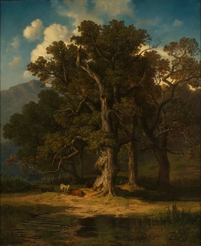 leśny krajobraz autorstwa August Maximilian Zimmermann