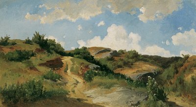 Węgierski krajobraz autorstwa August Schaeffer von Wienwald