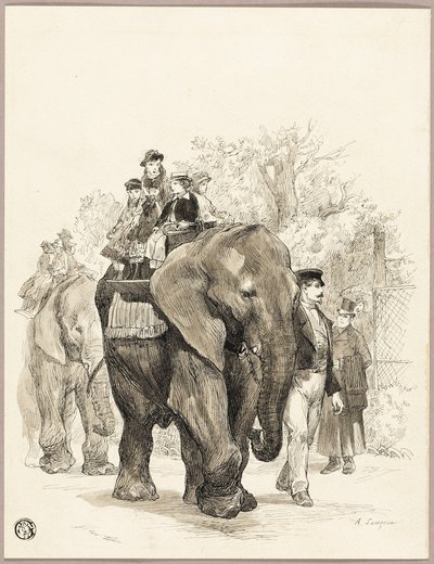 Słoń z jeźdźcami w Jardin des Plantes, Paryż autorstwa Auguste Andre Lancon