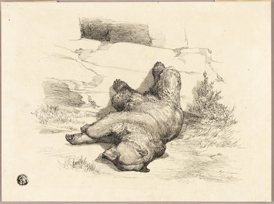 Rosyjski niedźwiedź autorstwa Auguste Andre Lancon