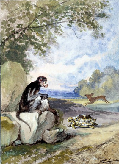 Ilustracja do bajki „Zając i żółw” autorstwa Jeana de La Fontaine. Akwarela Auguste Delierre (1829-c.1890) autorstwa Auguste Delierre