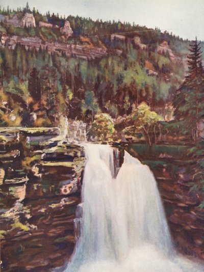 Francja: Le Saut Du Doubs (kolorowa litografia) autorstwa Auguste Gerardin