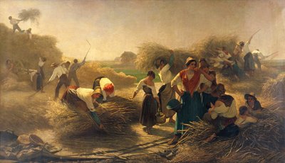 Młócenie rzepaku na polach Lille autorstwa Auguste Joseph Herlin