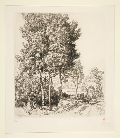 Dolina Petit Morin niedaleko Verdelot (Seine-et-Marne) (Mała dolina Morin niedaleko Verdelot [Seine-et-Marne]) autorstwa Auguste Lepere