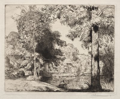 Krawędzie życia autorstwa Auguste Louis Lepère