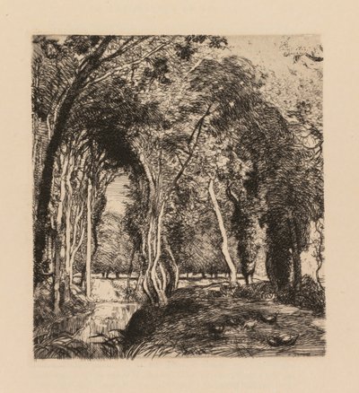 Auguste Lepère: Zarośla w Rigonette Vendèe. autorstwa Auguste Louis Lepère