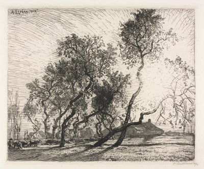 Farma z topolami holenderskimi, 1914. autorstwa Auguste Louis Lepère