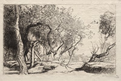 Skręcone drzewo autorstwa Auguste Louis Lepère