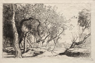Skręcone drzewo, 1915. autorstwa Auguste Louis Lepère