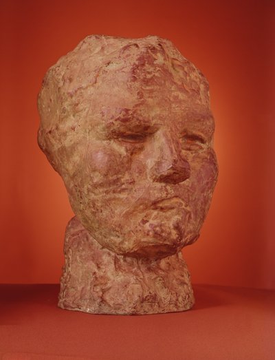 Głowa Iris, 1890 (brąz) autorstwa Auguste Rodin