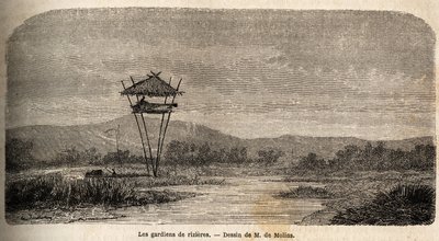 Strażnik ryżu, niedaleko Batavii (dzisiejsza Dżakarta). Rysunek M. de Molins, ilustrujący jego podróż na Jawę autorstwa Auguste de Molins