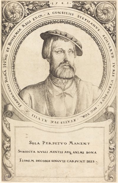 Doktor Stephen Schwartz, 1548. autorstwa Augustin Hirschvogel