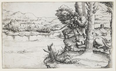 Strzelanie do kaczek z broni palnej, 1545 autorstwa Augustin Hirschvogel